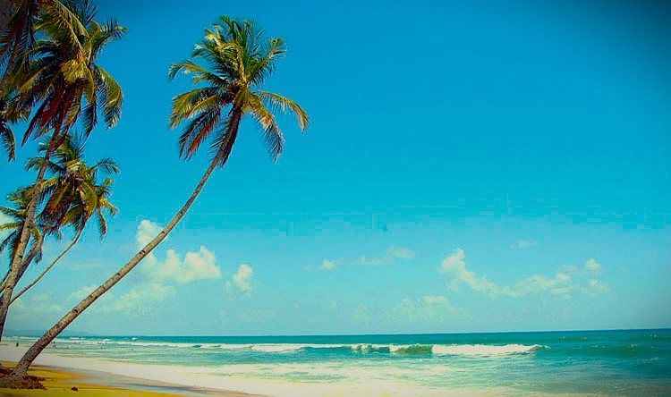 Colva Beach – A Classic South Goa Favorite