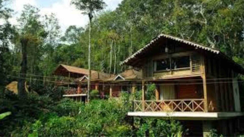 Coorg Karnataka